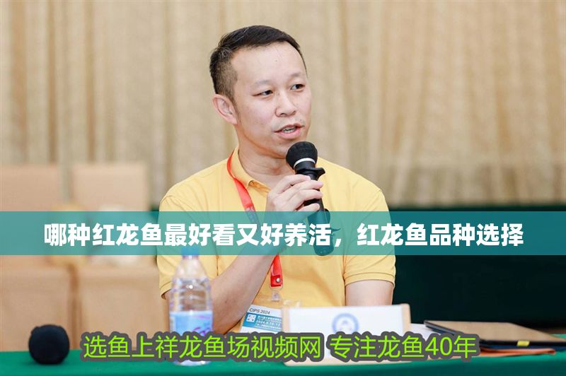 哪種紅龍魚最好看又好養活，紅龍魚品種選擇