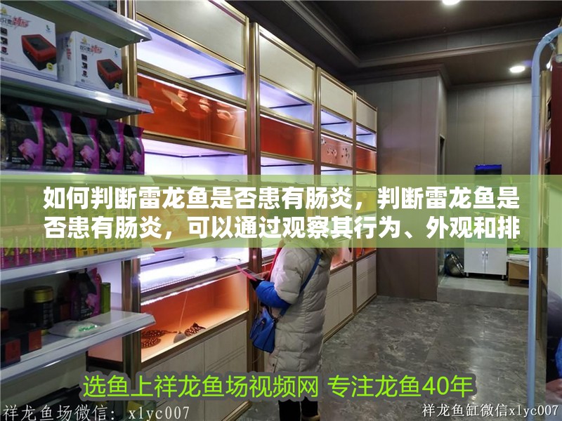 如何判斷雷龍魚是否患有腸炎，判斷雷龍魚是否患有腸炎，可以通過觀察其行為、外觀和排泄物來判斷