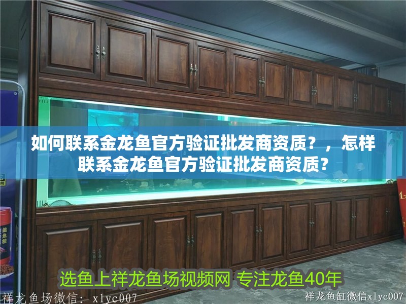 如何聯(lián)系金龍魚官方驗(yàn)證批發(fā)商資質(zhì)？，怎樣聯(lián)系金龍魚官方驗(yàn)證批發(fā)商資質(zhì)？