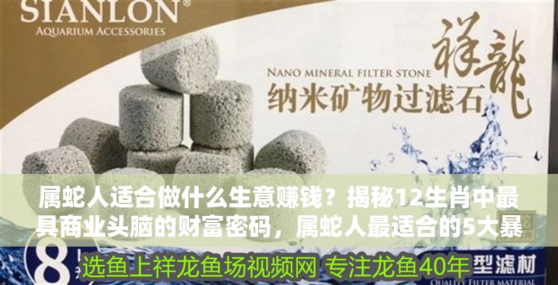 屬蛇人適合做什么生意賺錢？揭秘12生肖中最具商業頭腦的財富密碼，屬蛇人最適合的5大暴利生意，輕松解鎖生肖財富密碼！