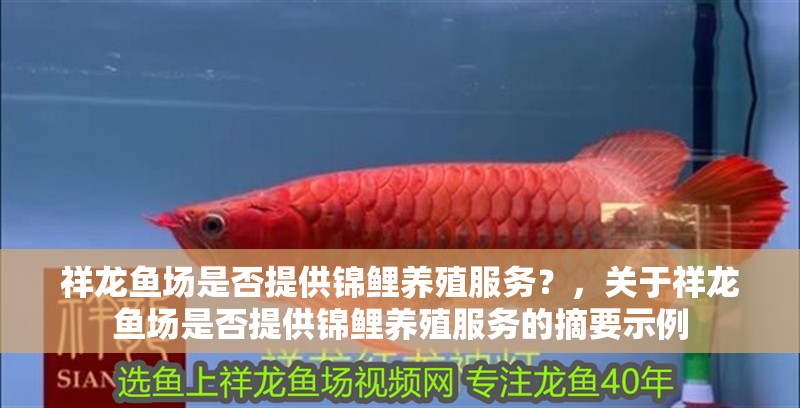 祥龍魚場是否提供錦鯉養殖服務？，關于祥龍魚場是否提供錦鯉養殖服務的摘要示例