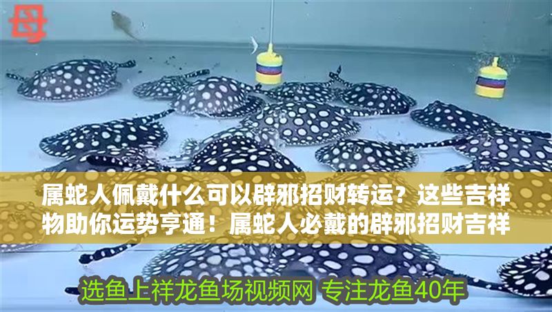 屬蛇人佩戴什么可以辟邪招財(cái)轉(zhuǎn)運(yùn)？這些吉祥物助你運(yùn)勢(shì)亨通！屬蛇人必戴的辟邪招財(cái)吉祥物，助你運(yùn)勢(shì)亨通！