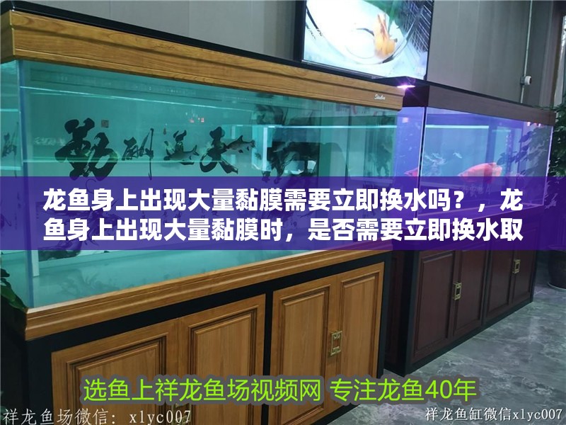 龍魚身上出現大量黏膜需要立即換水嗎？，龍魚身上出現大量黏膜時，是否需要立即換水取決于具體病因和病因