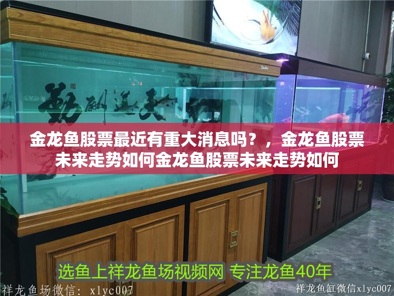 金龍魚股票最近有重大消息嗎？，金龍魚股票未來走勢如何金龍魚股票未來走勢如何
