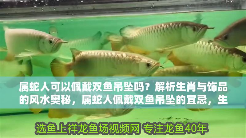 屬蛇人可以佩戴雙魚吊墜嗎？解析生肖與飾品的風水奧秘，屬蛇人佩戴雙魚吊墜的宜忌，生肖與風水飾品的深度解析