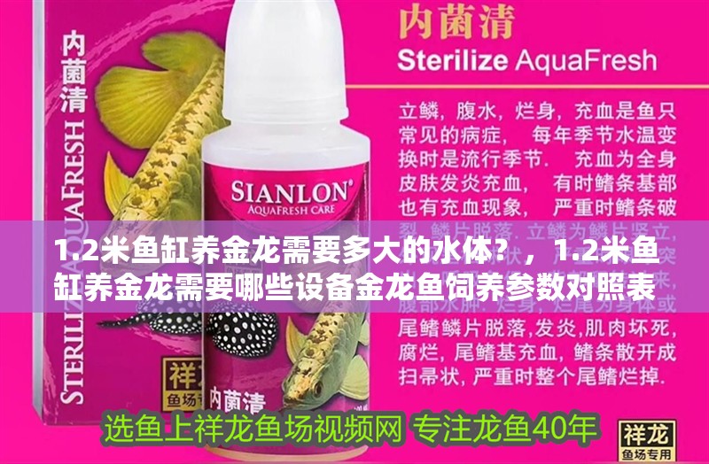1.2米魚缸養金龍需要多大的水體？，1.2米魚缸養金龍需要哪些設備金龍魚飼養參數對照表
