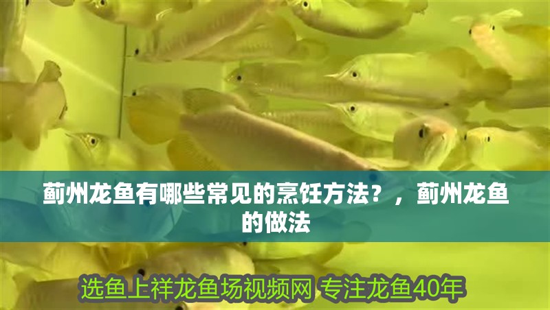 薊州龍魚(yú)有哪些常見(jiàn)的烹飪方法？，薊州龍魚(yú)的做法