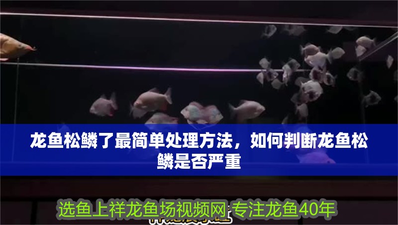 龍魚松鱗了最簡單處理方法，如何判斷龍魚松鱗是否嚴重