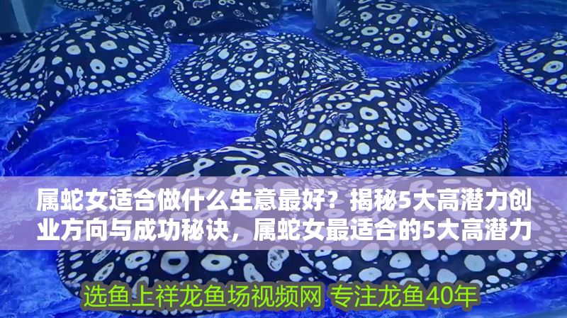屬蛇女適合做什么生意最好？揭秘5大高潛力創業方向與成功秘訣，屬蛇女最適合的5大高潛力生意方向與成功秘訣