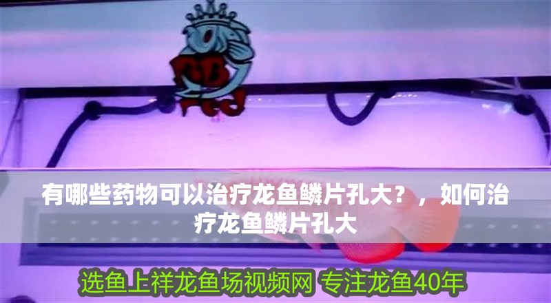 有哪些藥物可以治療龍魚鱗片孔大？，如何治療龍魚鱗片孔大