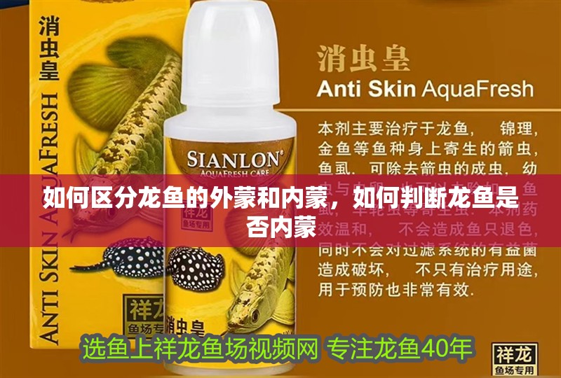 如何區分龍魚的外蒙和內蒙，如何判斷龍魚是否內蒙