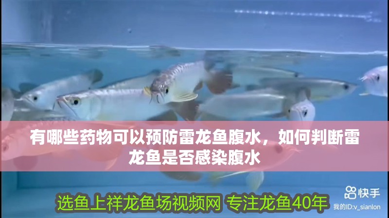 有哪些藥物可以預防雷龍魚腹水，如何判斷雷龍魚是否感染腹水