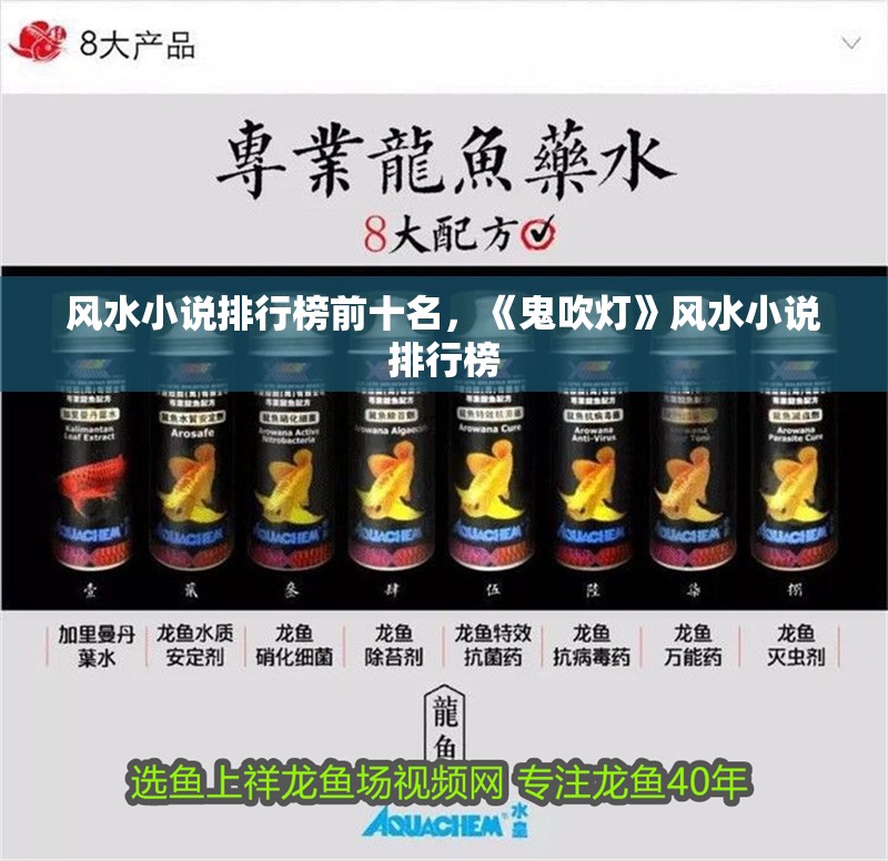 風(fēng)水小說排行榜前十名，《鬼吹燈》風(fēng)水小說排行榜