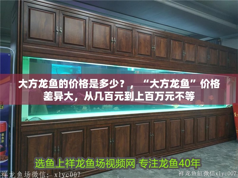 <strong><mark>大方</mark></strong>龍魚的價格是多少？，“<strong><mark>大方</mark></strong>龍魚”價格差異大，從幾百元到上百萬元不等