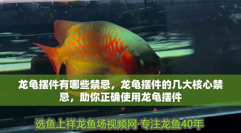 龍龜擺件有哪些禁忌，龍龜擺件的幾大核心禁忌，助你正確使用龍龜擺件