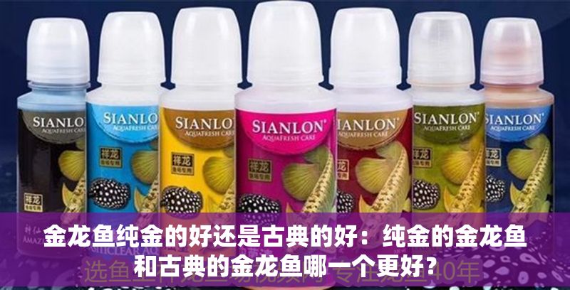 金龍魚純金的好還是古典的好：純金的金龍魚和古典的金龍魚哪一個(gè)更好？