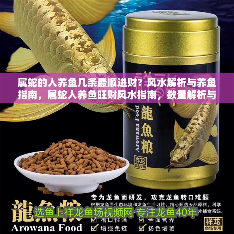 屬蛇的人養(yǎng)魚幾條最順進財？風(fēng)水解析與養(yǎng)魚指南，屬蛇人養(yǎng)魚旺財風(fēng)水指南，數(shù)量解析與飼養(yǎng)建議