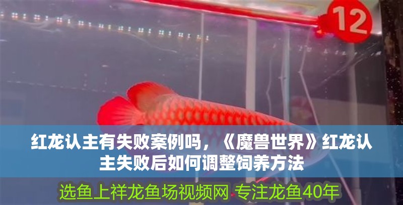 紅龍認主有失敗案例嗎，《魔獸世界》紅龍認主失敗后如何調整飼養方法