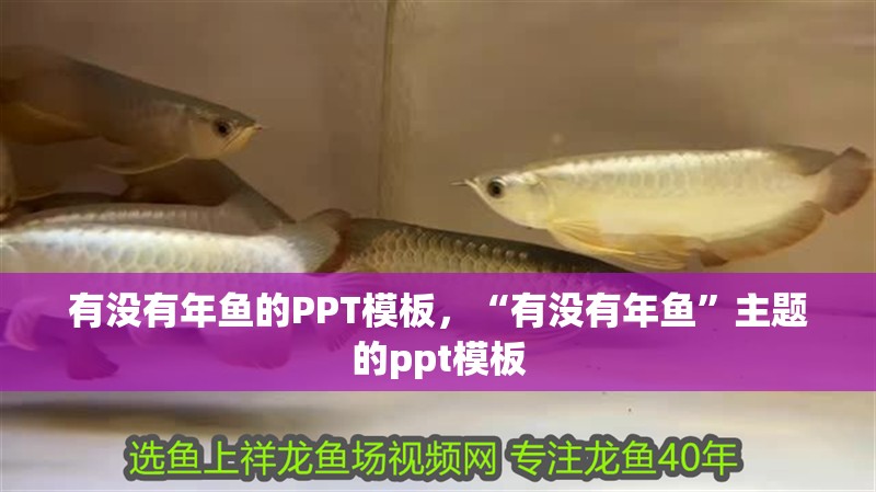 有沒有年魚的PPT模板，“有沒有年魚”主題的ppt模板