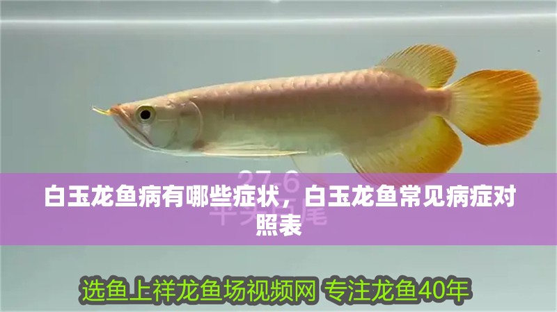 <strong><mark>白玉</mark></strong>龍魚病有哪些癥狀，<strong><mark>白玉</mark></strong>龍魚常見病癥對照表