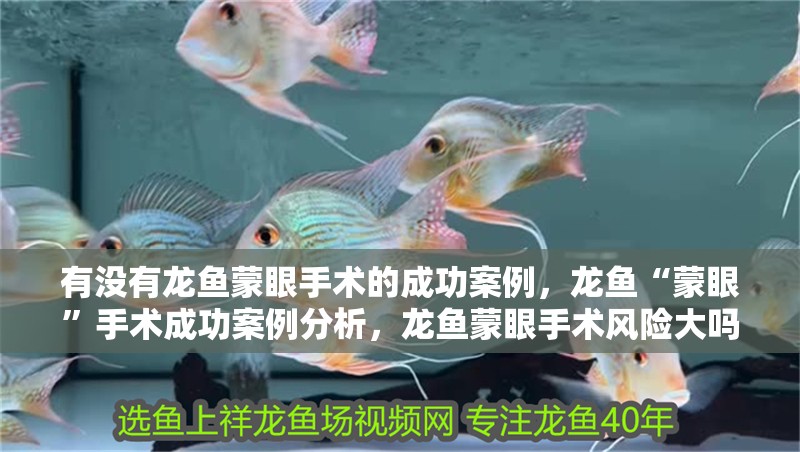 有沒有龍魚蒙眼手術(shù)的成功案例，龍魚“蒙眼”手術(shù)成功案例分析，龍魚蒙眼手術(shù)風(fēng)險大嗎
