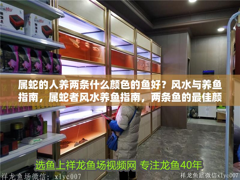屬蛇的人養兩條什么顏色的魚好？風水與養魚指南，屬蛇者風水養魚指南，兩條魚的最佳顏色選擇