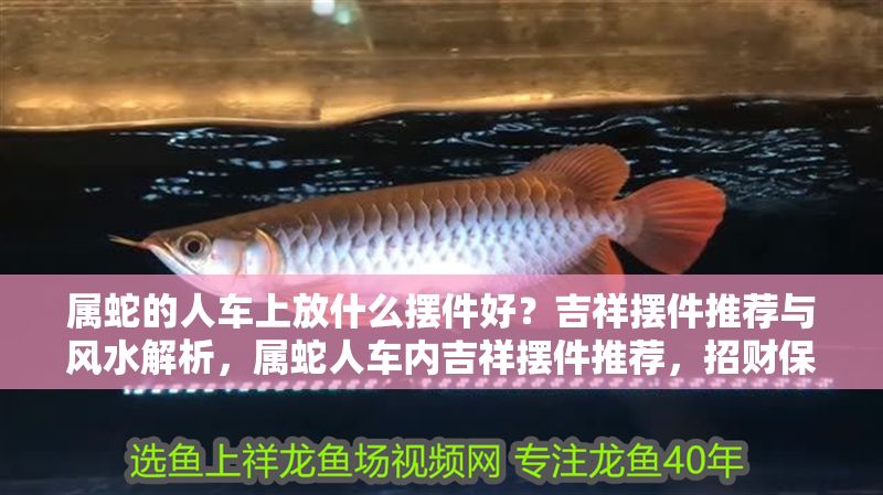 屬蛇的人車上放什么擺件好？吉祥擺件推薦與風(fēng)水解析，屬蛇人車內(nèi)吉祥擺件推薦，招財(cái)保平安的風(fēng)水指南