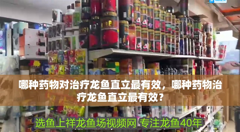 哪種藥物對(duì)治療龍魚(yú)直立最有效，哪種藥物治療龍魚(yú)直立最有效？