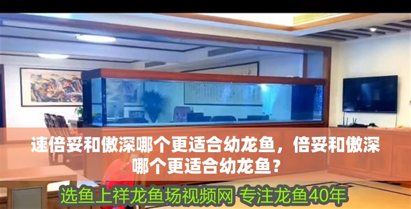 速倍妥和傲深哪個更適合幼龍魚，倍妥和傲深哪個更適合幼龍魚？