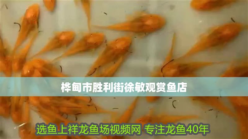 樺甸市勝利街徐敏觀賞魚店