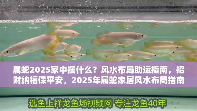 屬蛇2025家中擺什么？風(fēng)水布局助運(yùn)指南，招財(cái)納福保平安，2025年屬蛇家居風(fēng)水布局指南，招財(cái)納福保平安的必備擺件
