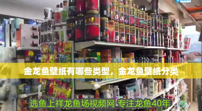 魚缸用增氧泵價格是多少:魚缸增氧機-xtrac增氧機-xtrac增氧機 金龍魚壁紙有哪些類型,金龍魚壁紙分類 龍魚百科 金龍魚壁紙有哪些類型,金龍魚壁紙分類 金龍魚壁紙有哪些類型,金龍魚壁紙分類 龍魚百科