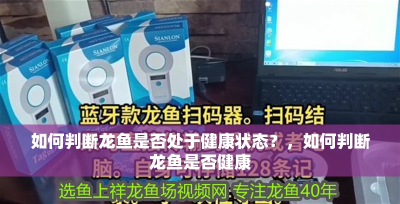 如何判斷龍魚是否處于健康狀態？，如何判斷龍魚是否健康 如何判斷龍魚是否處于健康狀態？，如何判斷龍魚是否健康 龍魚百科