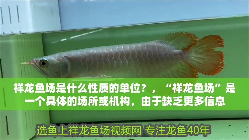 祥龍魚場是什么性質的單位？，“祥龍魚場”是一個具體的場所或機構，由于缺乏更多信息 祥龍魚場是什么性質的單位？，“祥龍魚場”是一個具體的場所或機構，由于缺乏更多信息 龍魚百科