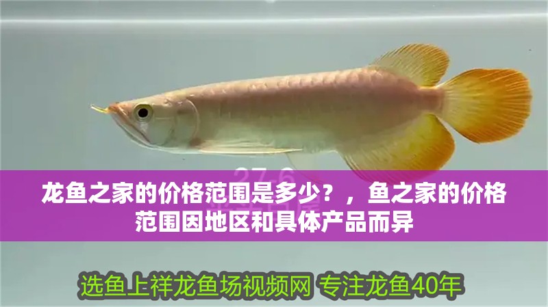 龍魚之家的價格范圍是多少？，魚之家的價格范圍因地區和具體產品而異 龍魚之家的價格范圍是多少？，魚之家的價格范圍因地區和具體產品而異 龍魚百科