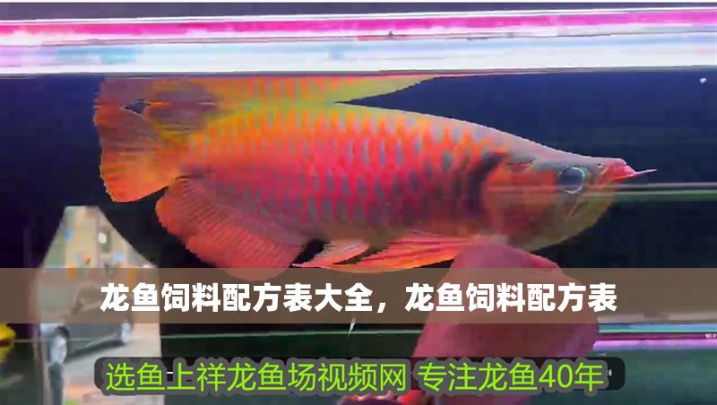 龍魚飼料配方表大全，龍魚飼料配方表