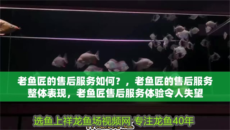 魚缸過濾器選購指南:自制魚缸過濾器魚缸上置過濾器對于養(yǎng)魚愛好者的必備知識 老魚匠的售后服務(wù)如何?,老魚匠的售后服務(wù)整體表現(xiàn),老魚匠售后服務(wù)體驗令人失望 龍魚百科 老魚匠的售后服務(wù)如何?,老魚匠的售后服務(wù)整體表現(xiàn),老魚匠售后服務(wù)體驗令人失望 老魚匠的售后服務(wù)如何?,老魚匠的售后服務(wù)整體表現(xiàn),老魚匠售后服務(wù)體驗令人失望 龍魚百科