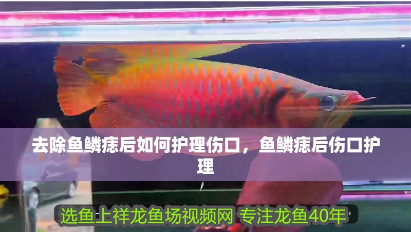 去除魚鱗痣后如何護理傷口，魚鱗痣后傷口護理