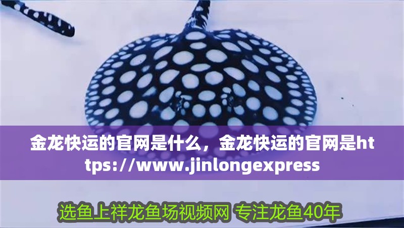 金龍快運的官網是什么，金龍快運的官網是https://www.jinlongexpress