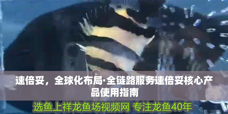 我的虎魚真菌感染了要怎么處理 速倍妥,全球化布局·全鏈路服務速倍妥核心產品使用指南 龍魚百科 速倍妥,全球化布局·全鏈路服務速倍妥核心產品使用指南 速倍妥,全球化布局·全鏈路服務速倍妥核心產品使用指南 龍魚百科