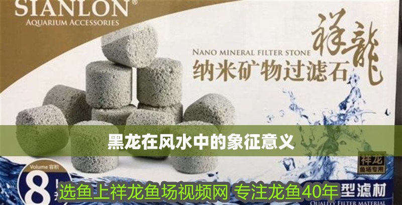 黑龍?jiān)陲L(fēng)水中的象征意義