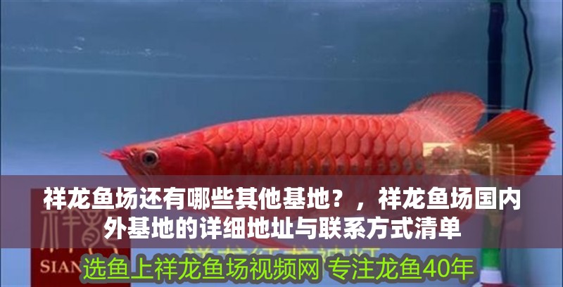 祥龍魚場還有哪些其他基地？，祥龍魚場國內外基地的詳細地址與聯系方式清單
