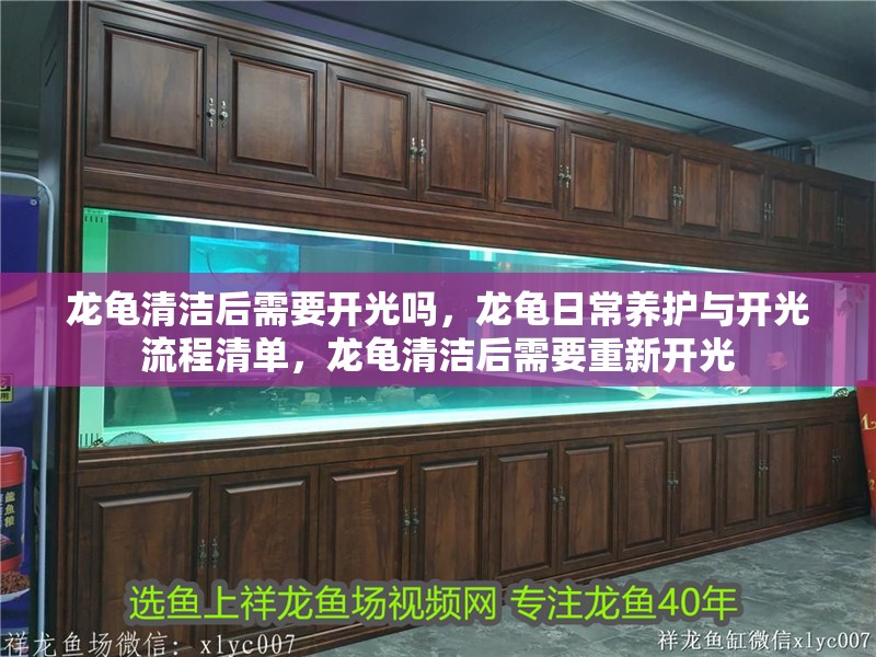 龍龜清潔后需要開光嗎，龍龜日常養(yǎng)護(hù)與開光流程清單，龍龜清潔后需要重新開光 龍龜清潔后需要開光嗎，龍龜日常養(yǎng)護(hù)與開光流程清單，龍龜清潔后需要重新開光 龍魚百科
