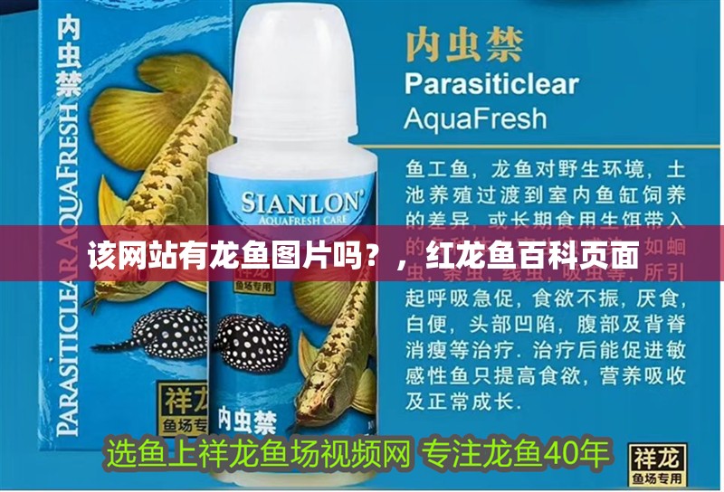 魚缸用增氧泵價格是多少:魚缸增氧機-xtrac增氧機-xtrac增氧機 該網(wǎng)站有龍魚圖片嗎?,紅龍魚百科頁面 龍魚百科 該網(wǎng)站有龍魚圖片嗎?,紅龍魚百科頁面 該網(wǎng)站有龍魚圖片嗎?,紅龍魚百科頁面 龍魚百科