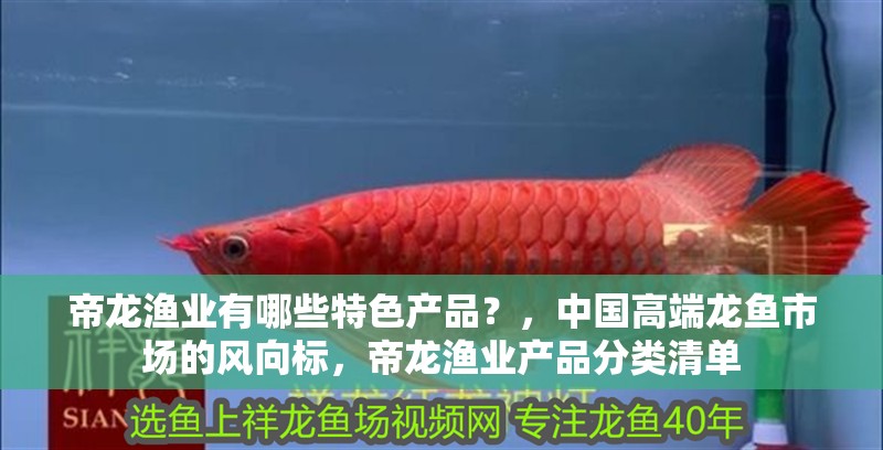 帝龍漁業有哪些特色產品？，中國高端龍魚市場的風向標，帝龍漁業產品分類清單 帝龍漁業有哪些特色產品？，中國高端龍魚市場的風向標，帝龍漁業產品分類清單 龍魚百科