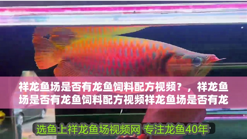 祥龍魚場是否有龍魚飼料配方視頻？，祥龍魚場是否有龍魚飼料配方視頻祥龍魚場是否有龍魚飼料配方視頻 祥龍魚場是否有龍魚飼料配方視頻？，祥龍魚場是否有龍魚飼料配方視頻祥龍魚場是否有龍魚飼料配方視頻 龍魚百科