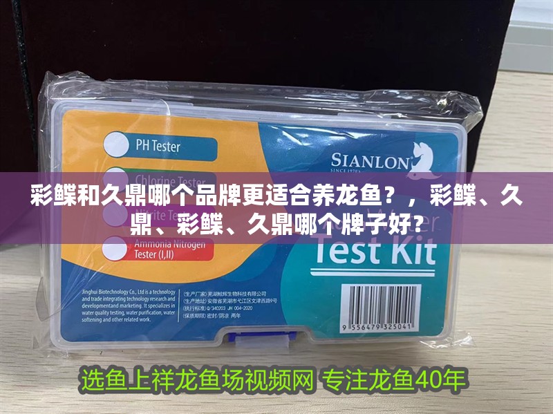 我的虎魚真菌感染了要怎么處理 彩鰈和久鼎哪個品牌更適合養龍魚?,彩鰈、久鼎、彩鰈、久鼎哪個牌子好? 龍魚百科 彩鰈和久鼎哪個品牌更適合養龍魚?,彩鰈、久鼎、彩鰈、久鼎哪個牌子好? 彩鰈和久鼎哪個品牌更適合養龍魚?,彩鰈、久鼎、彩鰈、久鼎哪個牌子好? 龍魚百科