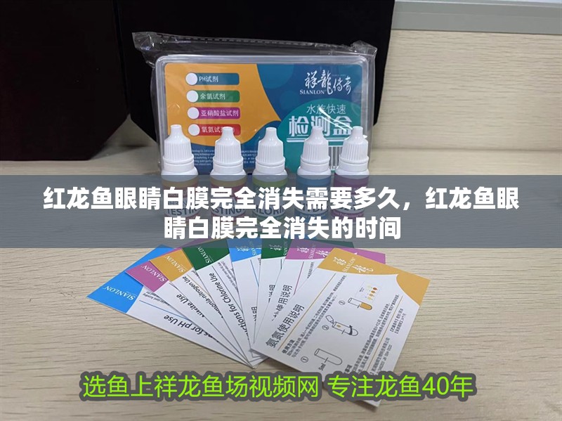 紅龍魚眼睛白膜完全消失需要多久，紅龍魚眼睛白膜完全消失的時間