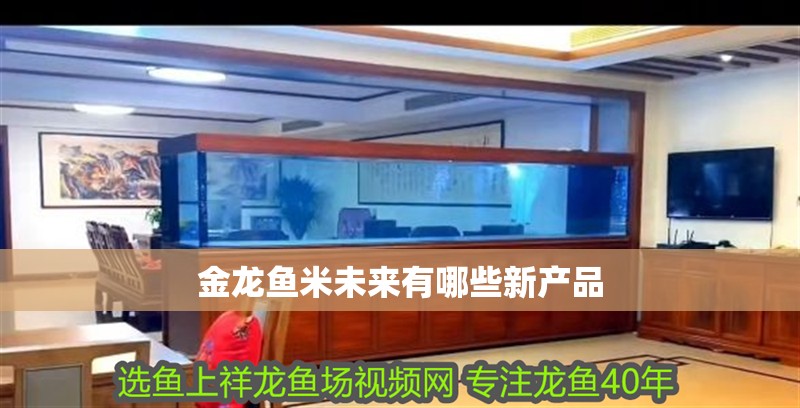詳細閱讀:金龍魚米未來有哪些新產品 金龍魚米未來有哪些新產品