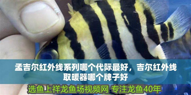 孟吉爾紅外線系列哪個(gè)代際最好，吉爾紅外線取暖器哪個(gè)牌子好